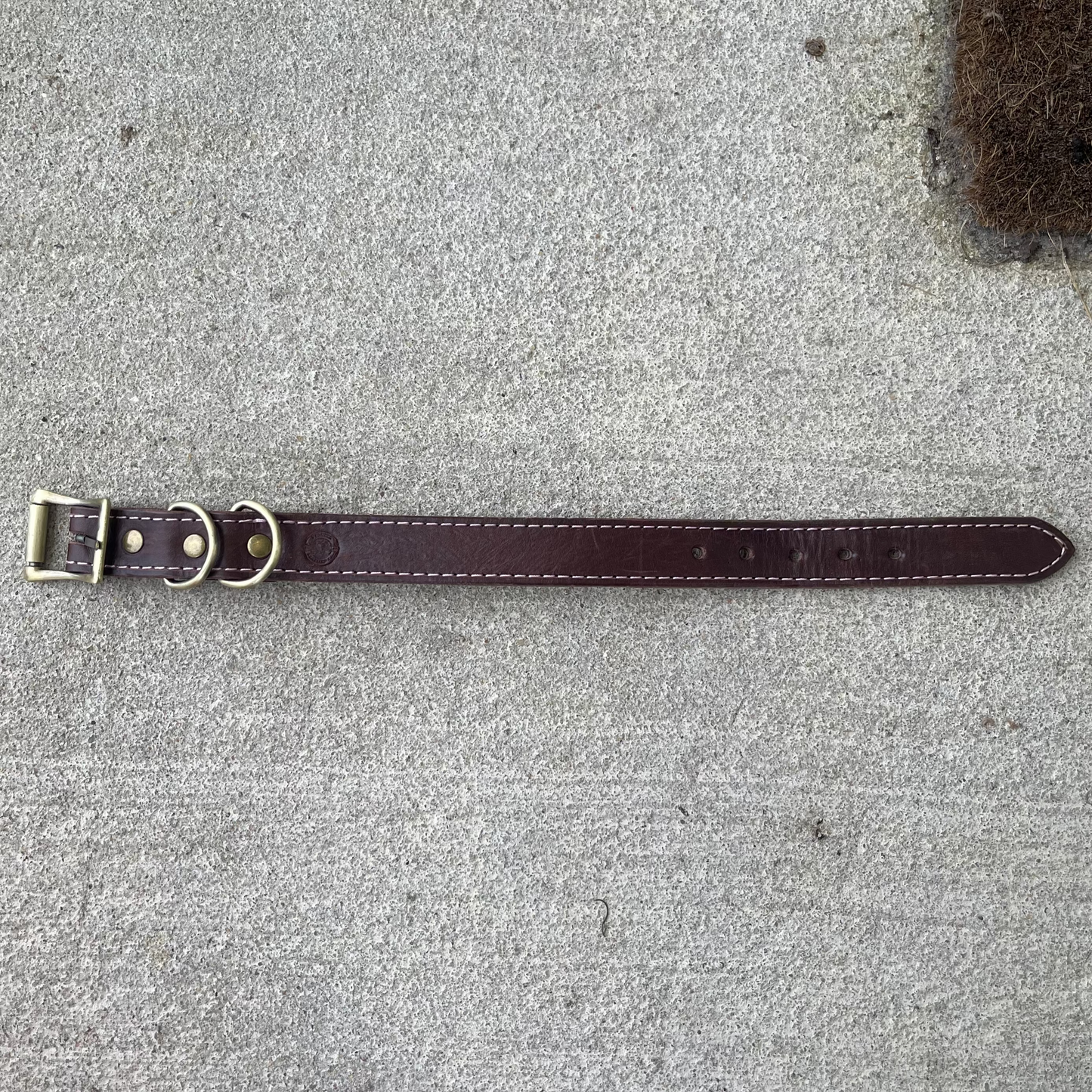 Standard Collar