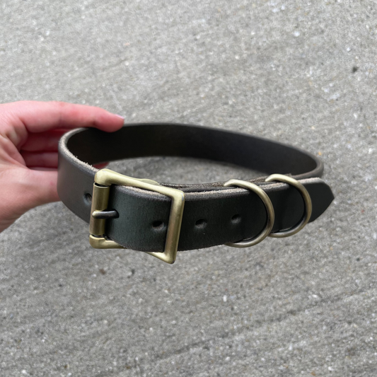 Standard Collar