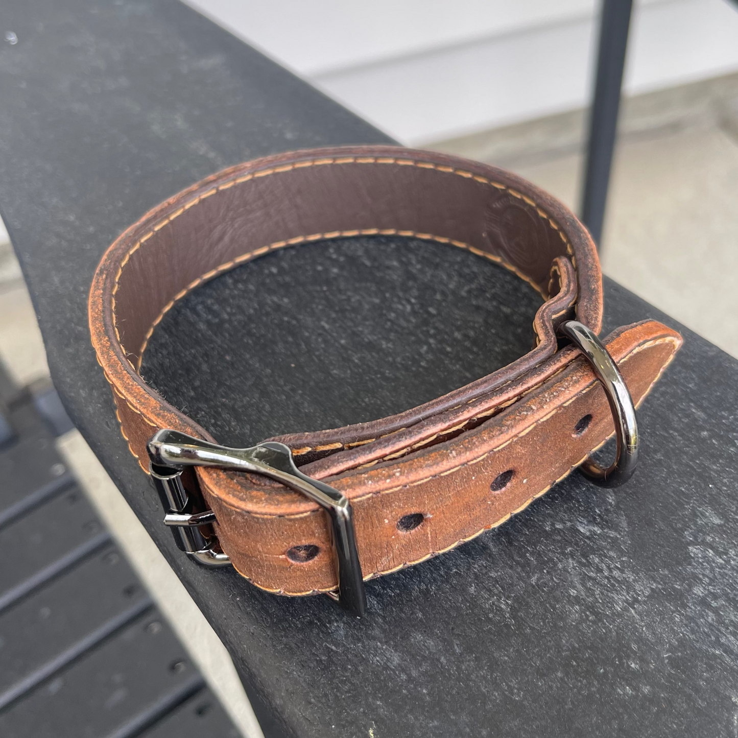 Standard Collar